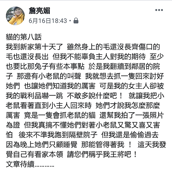 我家有隻台灣純野貓