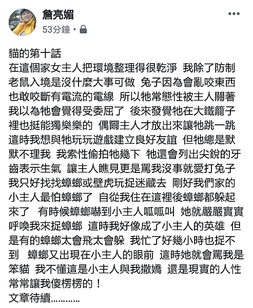 我家有隻台灣純野貓