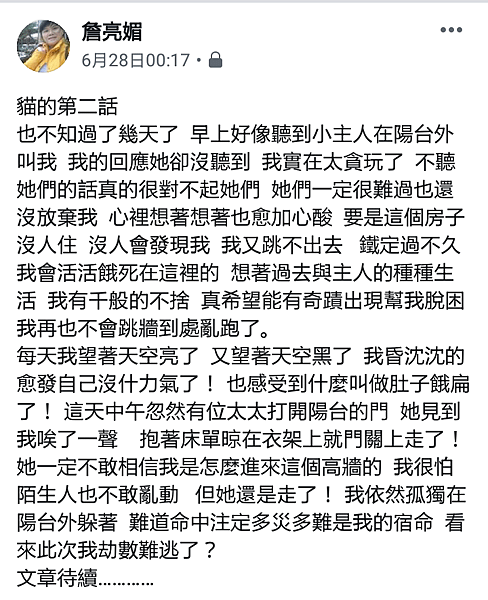 我家有隻台灣純野貓