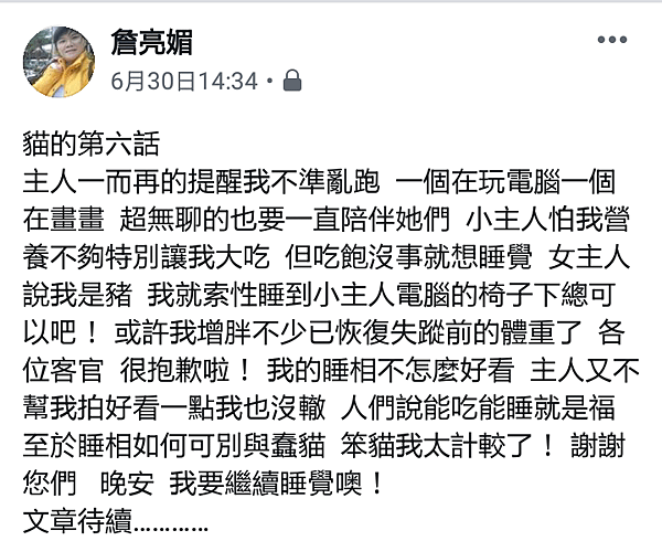 我家有隻台灣純野貓