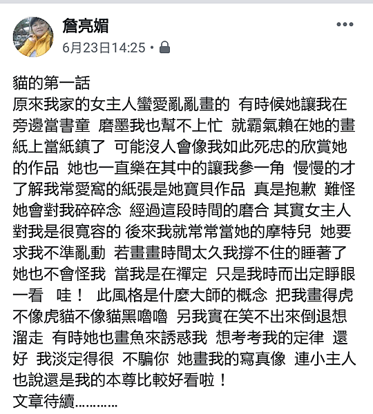 我家有隻台灣純野貓