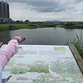 IMG_1393.JPG