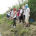 IMG_1378.JPG
