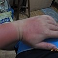 IMG_1408.JPG