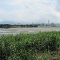 IMG_1377.JPG