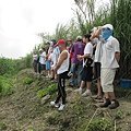 IMG_1379.JPG
