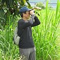 IMG_1374.JPG