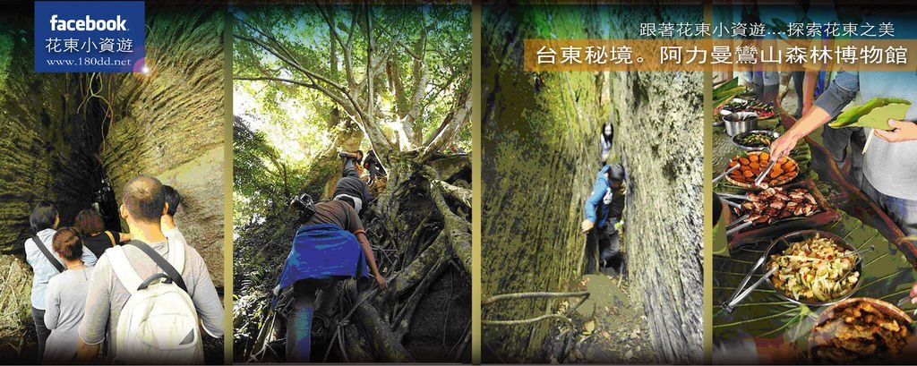 阿力曼鸞山森林博物館1