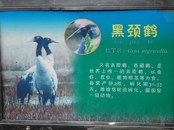 DSC09170