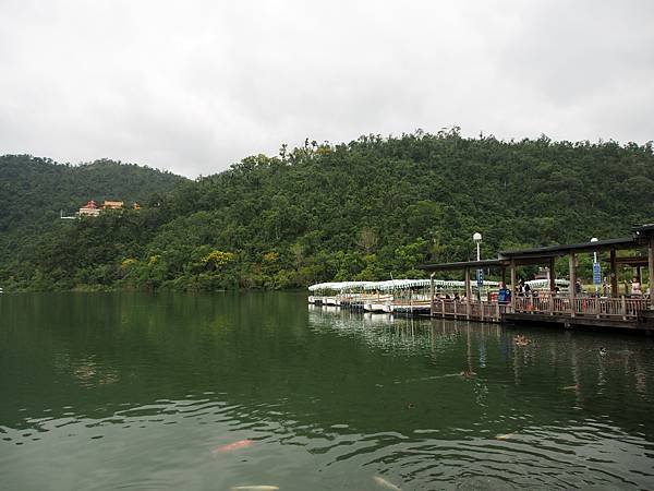 P9248263.JPG