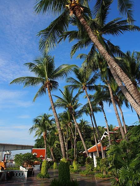 PA108899.JPG