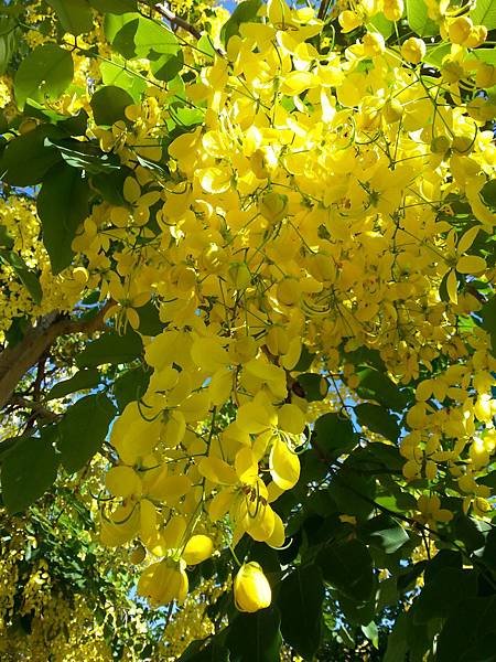 20170531_155746.jpg