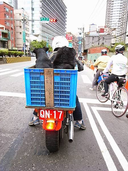 【單車】第五屆 Garmin &amp; Mobile01 北宜公路