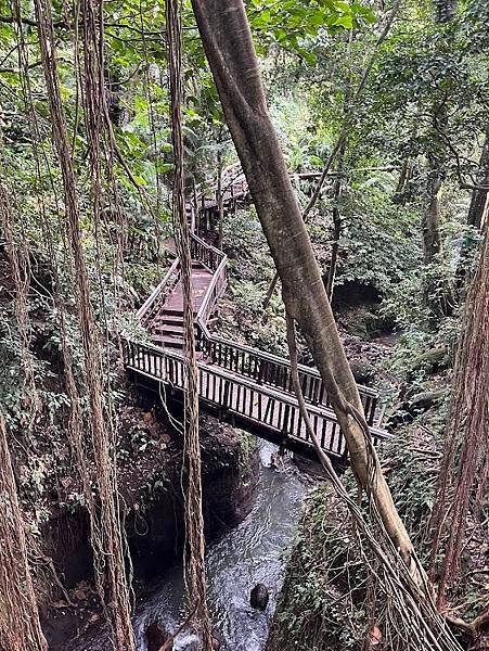 【2024 星馬峇里島】0725 猴子森林Monkey Fo