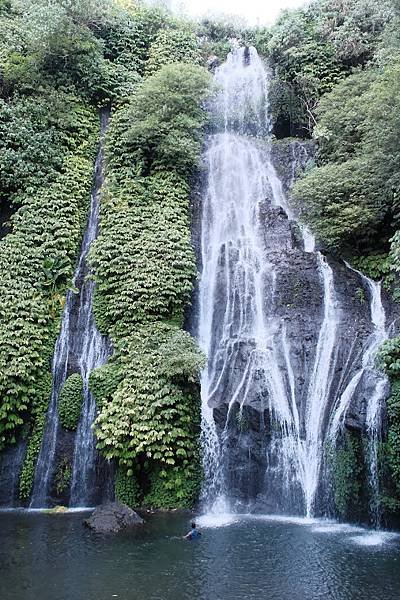 【2024 星馬峇里島】0726 採草莓