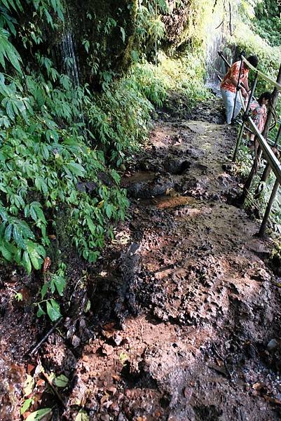 【2024 星馬峇里島】0726 採草莓、Banyumala