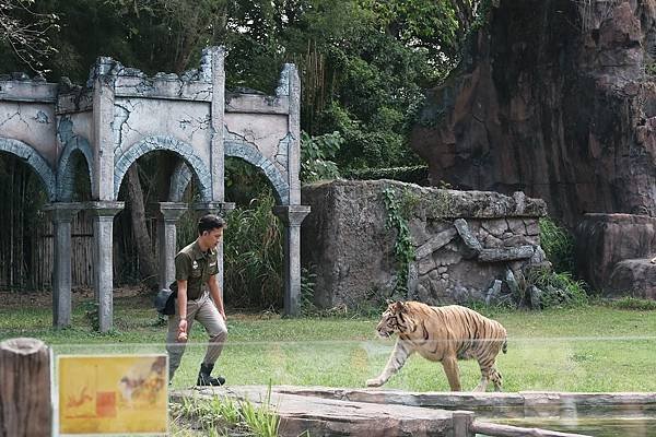 【2024 星馬峇里島】0729 峇里島上的動物園 Tama