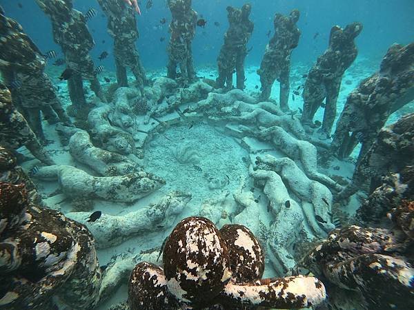 【2024 星馬峇里島】0801 浮潛於Gili Meno海