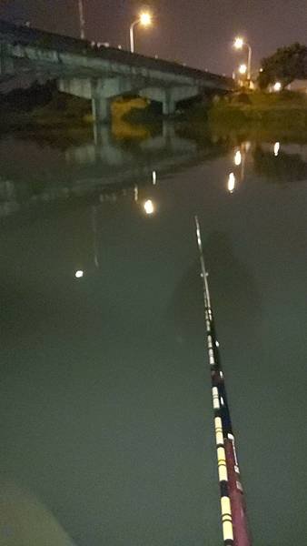 IMG_20230127_184430.jpg