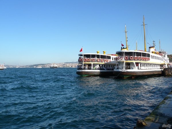 DSCN7572.jpg