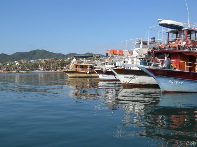 DSCN7994.jpg