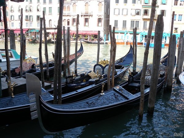 DSCN5390.jpg