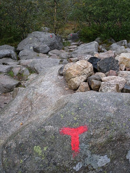 DSCN2763.JPG