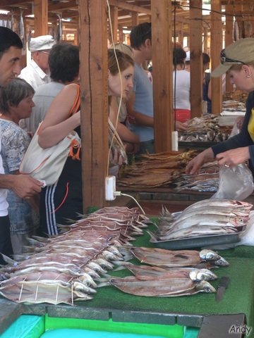 DSCN0309.jpg