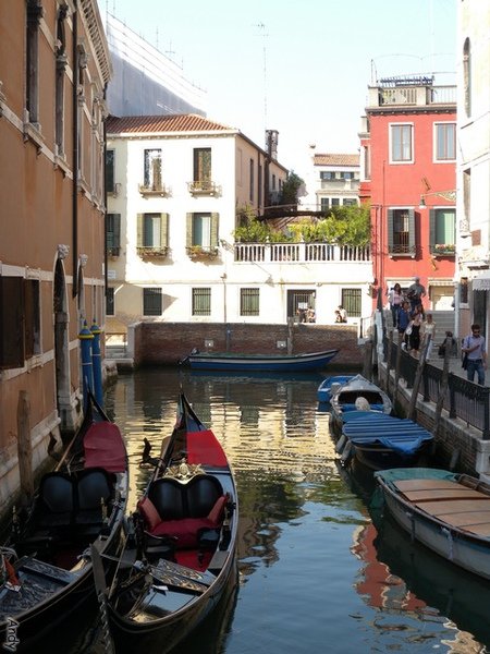 DSCN5453.jpg