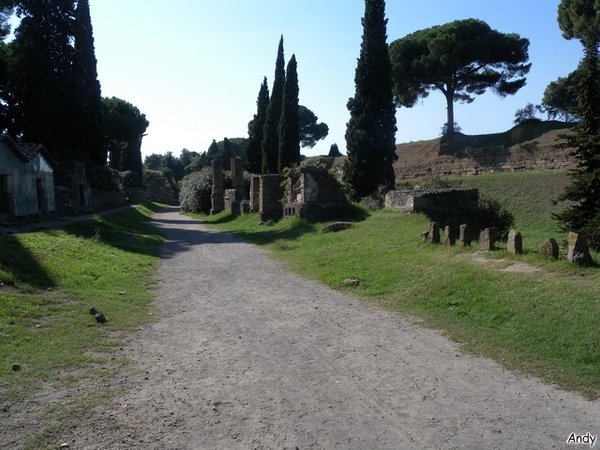 DSCN6953.jpg