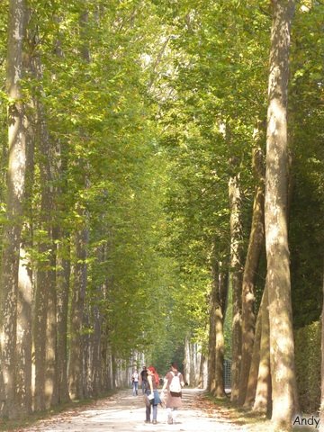 DSCN4643.jpg