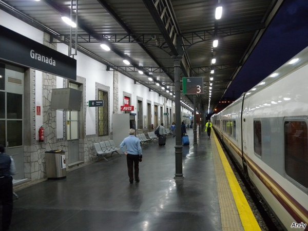 DSCN6336.jpg