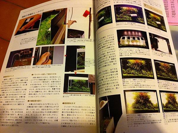 水草書(4).jpg