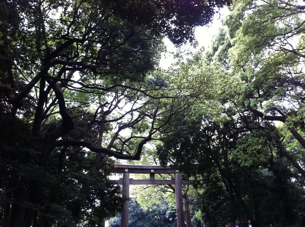 日本遊 (39).jpg