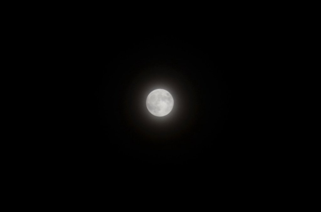 DSC_0024-1.jpg