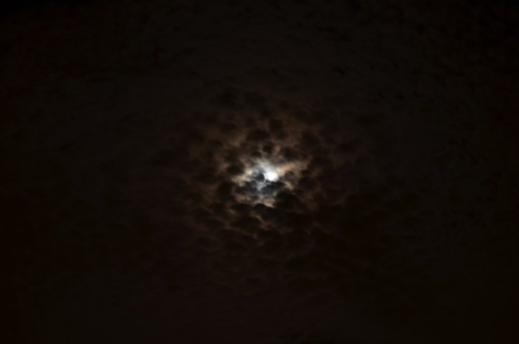 DSC_0047.jpg