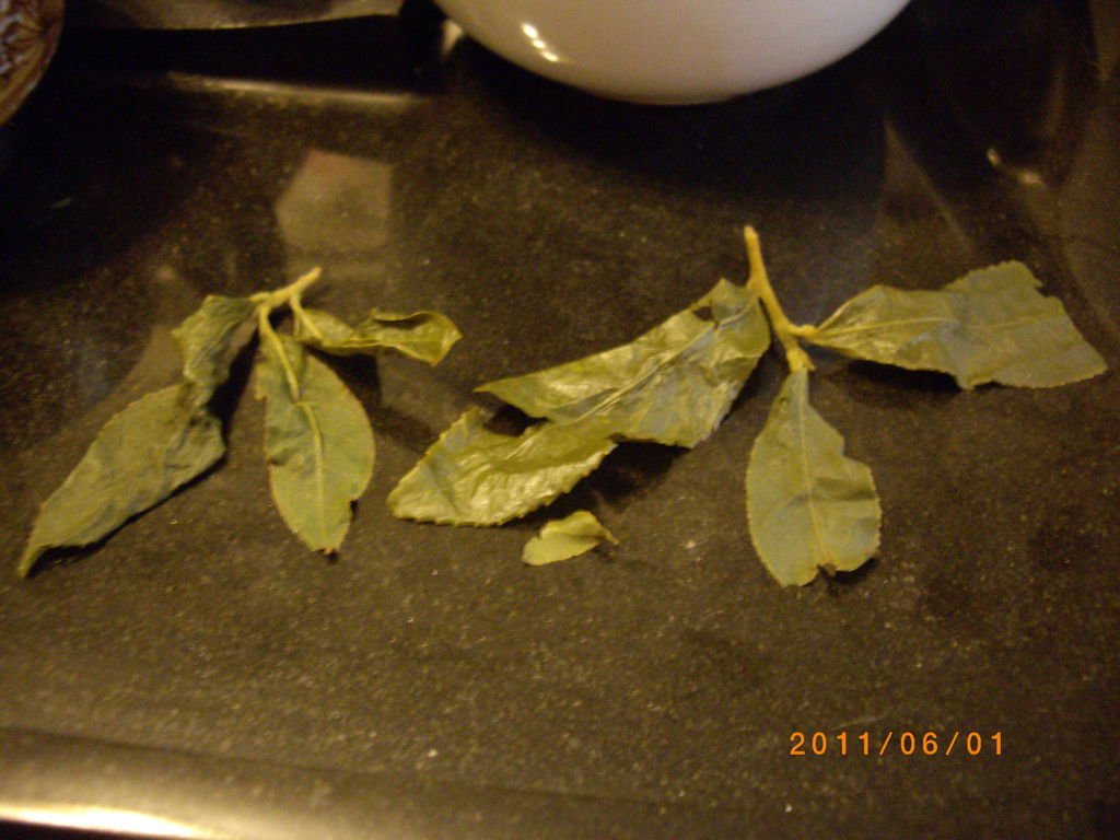 IMGP0132.JPG