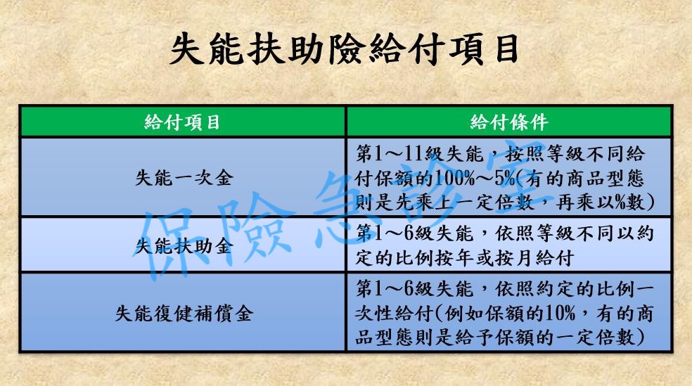 失能扶助險給付項目.jpg