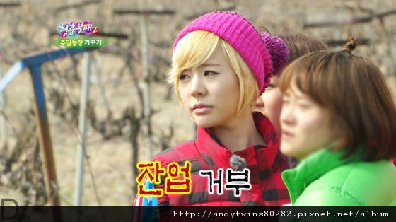 invincible-youth-sunny-4