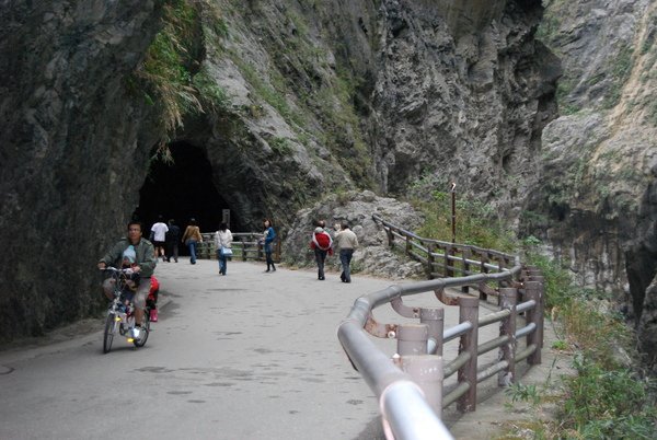 這段從去年開始，人車分道