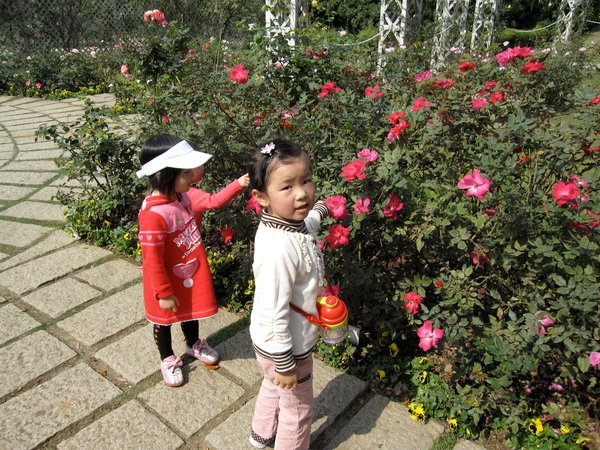 小美女賞花