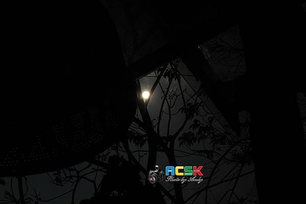 DSC_9268.JPG