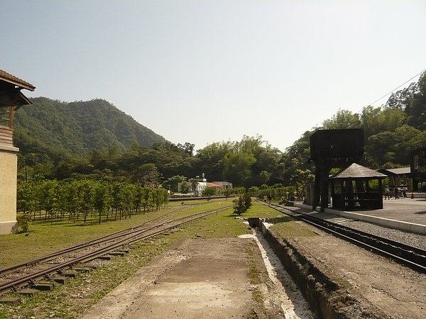 P1100701.JPG