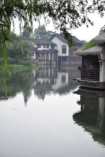 WUZHEN_05.jpg