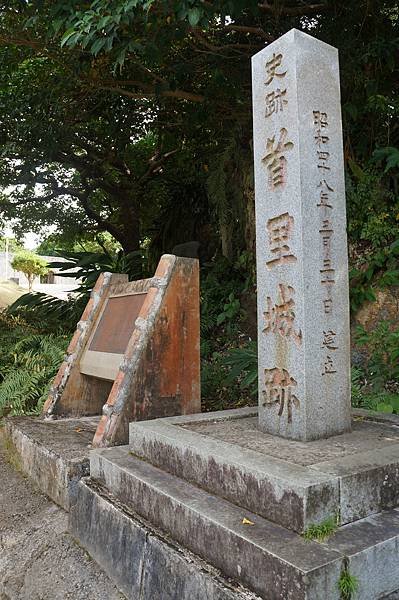DSC03136.JPG