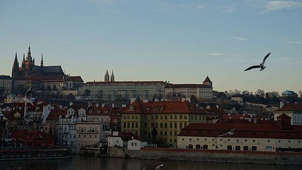 DSC05290.JPG