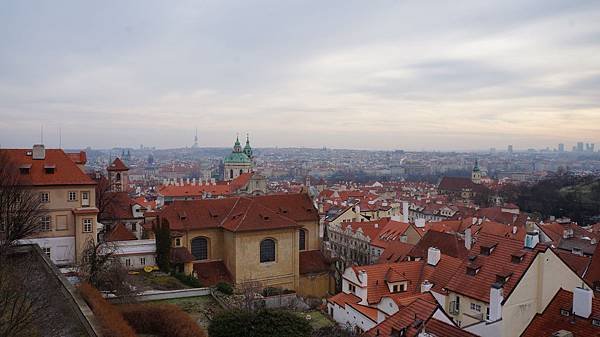 DSC05395.JPG