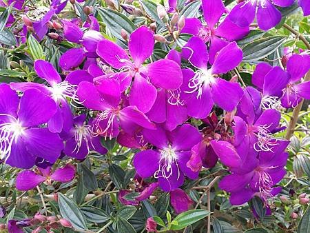 2014-02-16 13.35.17.jpg