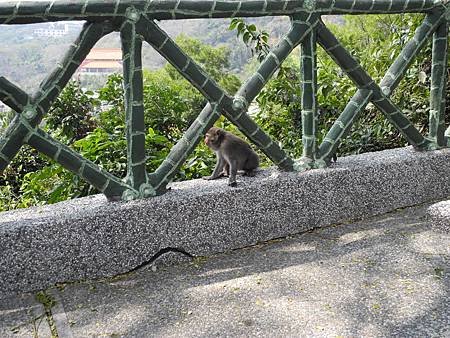 DSCN4499.JPG