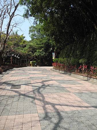 DSCN4508.JPG